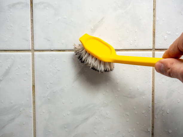 Best Same-Day Mold Removal  in Crestview, FL