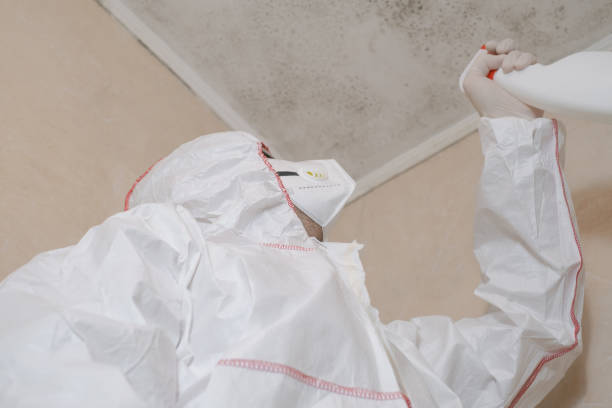 Crawl Space Mold Removal in Crestview, FL