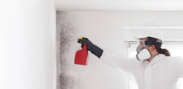 Best Residential Mold Removal  in Crestview, FL