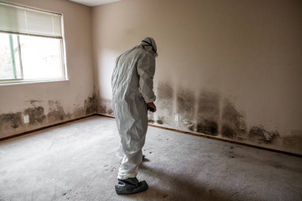 Best Professional Mold Removal  in Crestview, FL